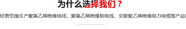 我們的優(yōu)勢(shì)